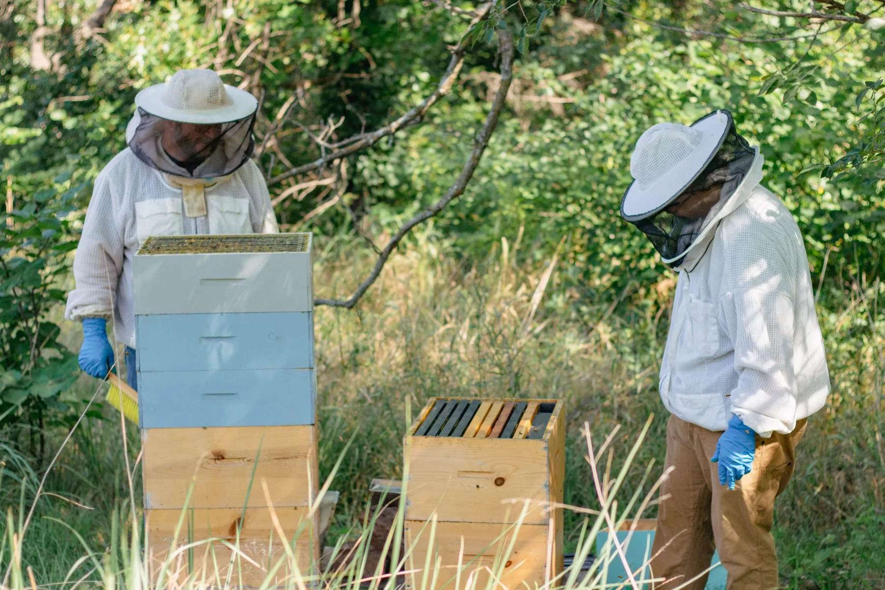 Two beekeepers in protective suits working stacked Langstroth hive boxes in a grassy yard.